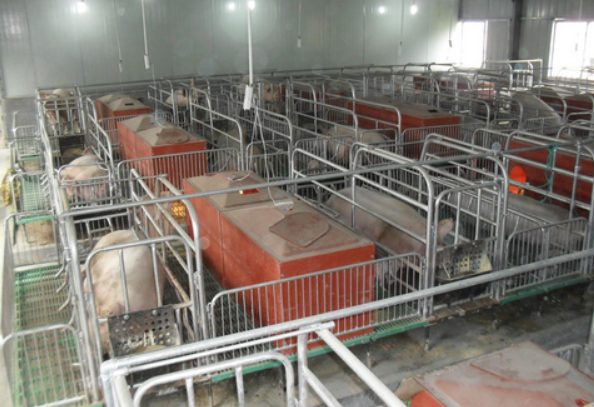 養豬場凈水設備