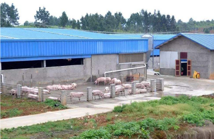 河北保定某郊區(qū)養(yǎng)豬場(chǎng)凈水項(xiàng)目